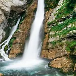 Daire Garden Soklic Bohinj