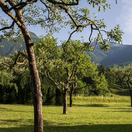 Garden Soklic * Bohinji-tó