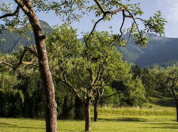 Garden Soklic * Bohinj