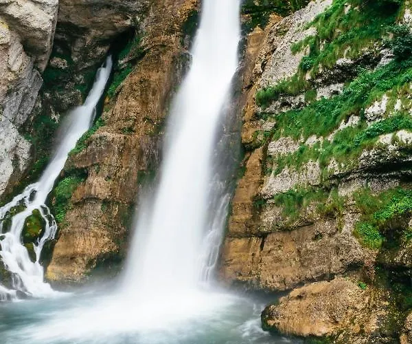 Apartma Garden Soklic Bohinj